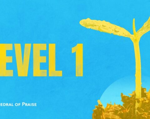 Level 1: New Life Course